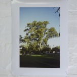 Anne Kay, A figure shows the scale. Running to catch a tree. 1997 to 2014, A2 inkjet print on photo paper
